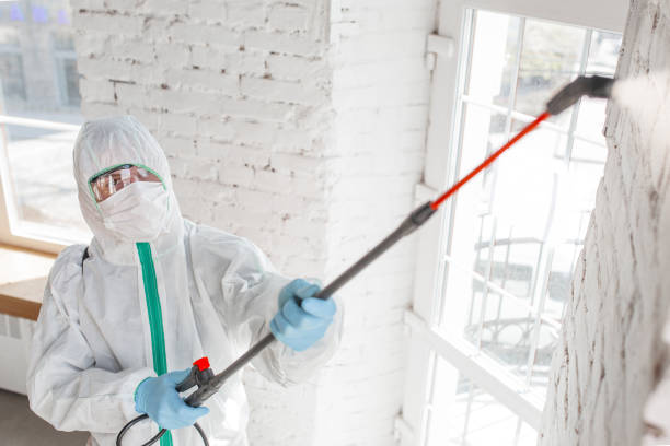 Best Forensic Mold Investigation  in Pinecrest, FL