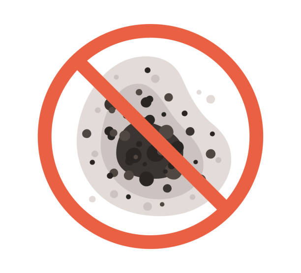 Best Commercial Mold Inspection  in Pinecrest, FL