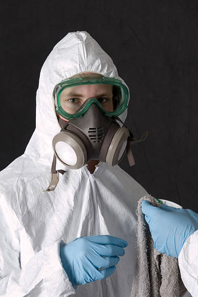 Best Mold Removal for HVAC Installations  in Pinecrest, FL